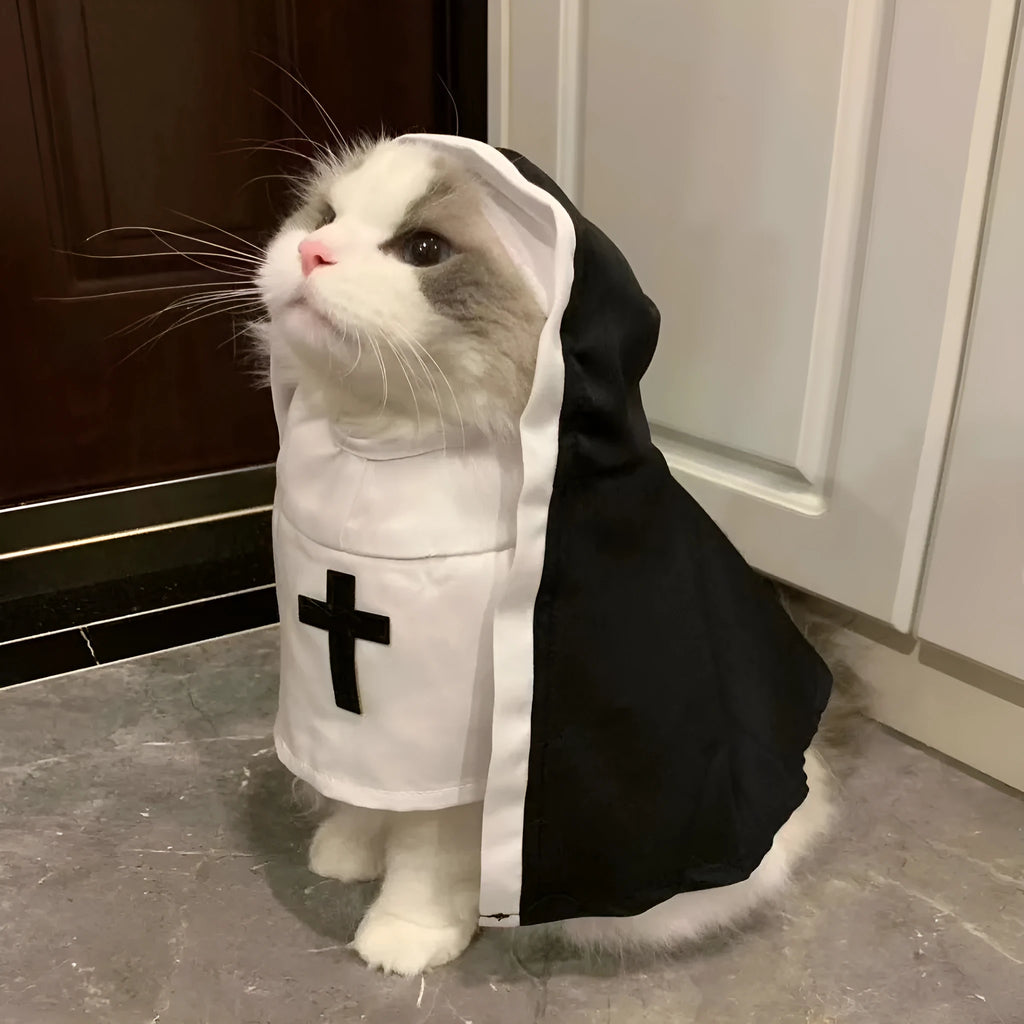 Black and white nun cloak costume on a small dog for Halloween.