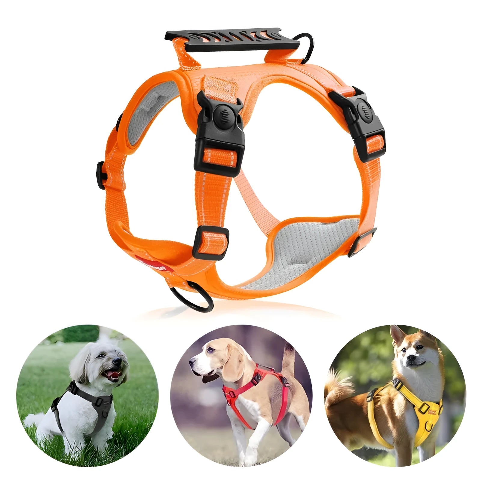Polyester dog harness lead with a chest strap shown in multiple colours on a neutral background.