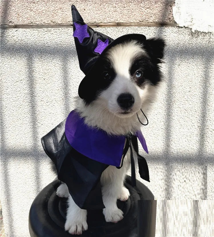 Purple and black satin pet wizard Halloween costume set with cloak and hat for cats and small dogs