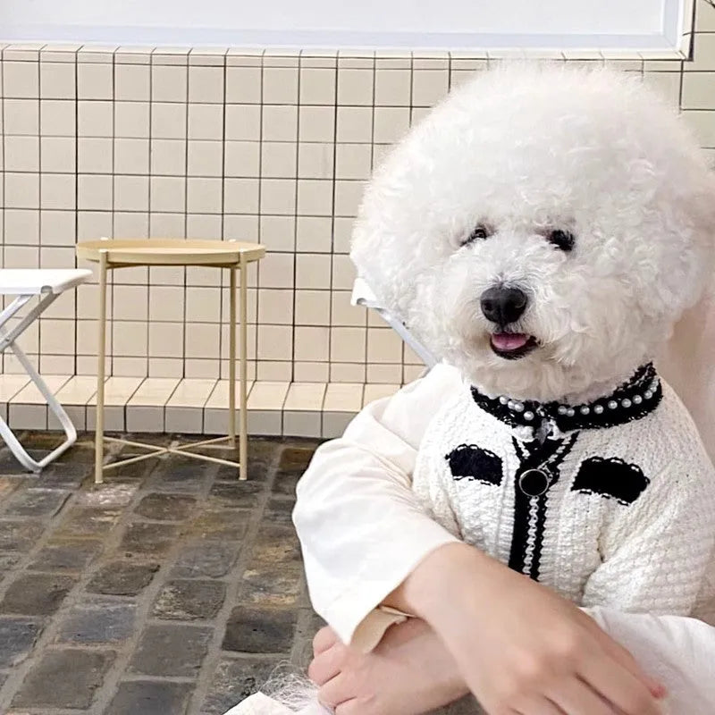 Korean style white dog sweater with pearl collar on small breed pet