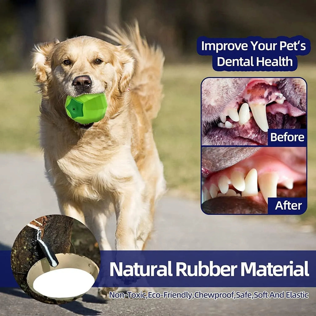 Green natural rubber squeaky dog chew toy ball for medium and large aggressive chewing breeds