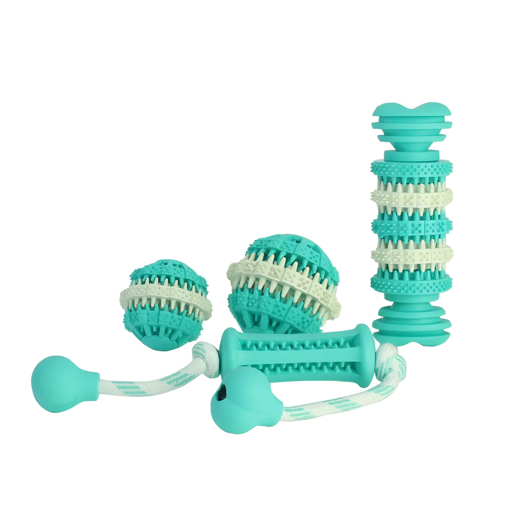 Dog molar toy set including spherical, bone, and rope shapes for teething and chewing