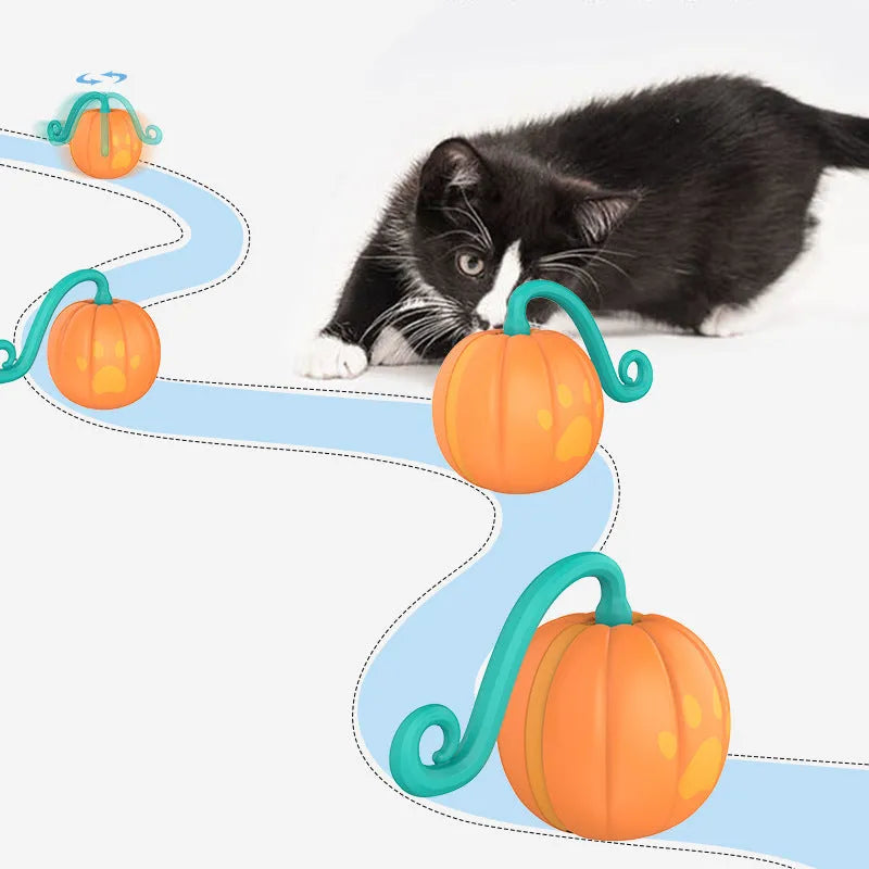 Electric cat toy with luminous ball in watermelon or pumpkin colour design