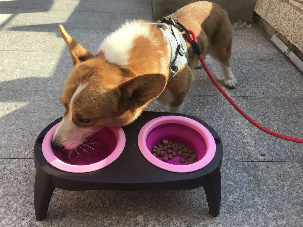 Grey folding pet double bowl made from PP and TPR with non-slip base, packed flat at 38.5 x 21.5 x 12.5 cm