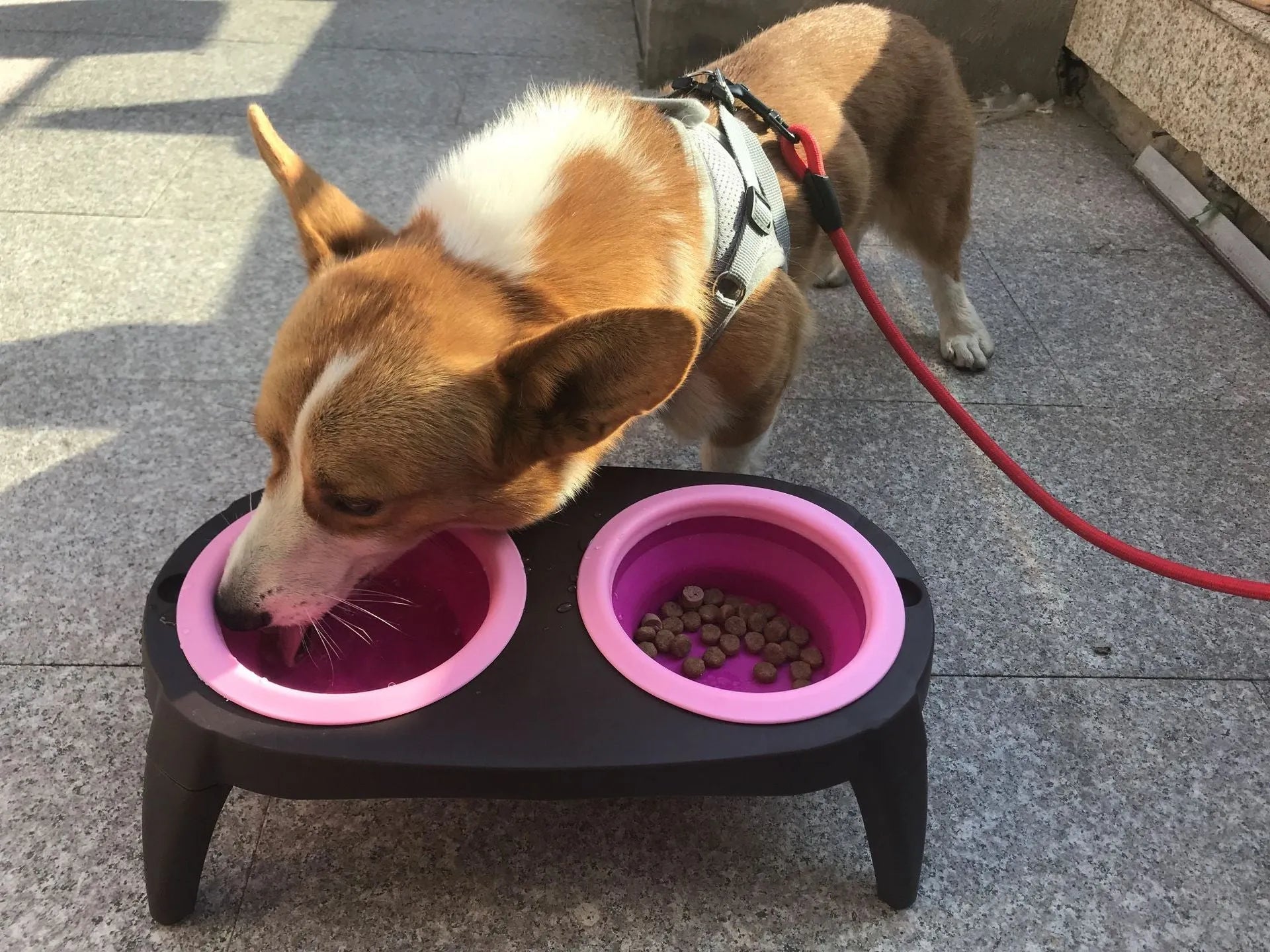 Grey folding pet double bowl made from PP and TPR with non-slip base, packed flat at 38.5 x 21.5 x 12.5 cm