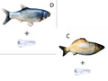 Electronic jumping fish cat toy with USB charging cable in multicolour 30cm design