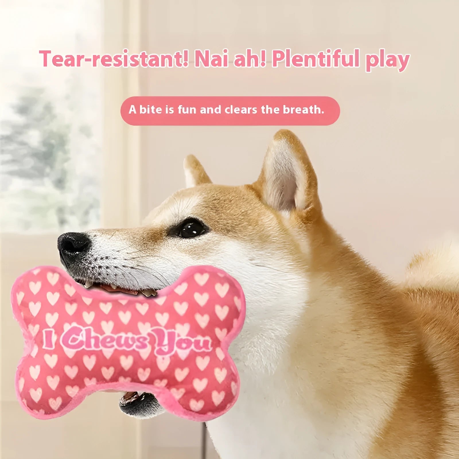 PP plush dog toy for tooth cleaning with bite-resistant construction in four colour options