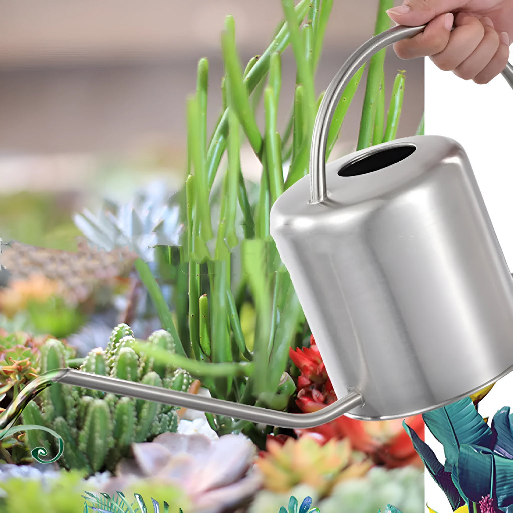 Stainless steel watering can with long spout showing black, gold, and silver colour options