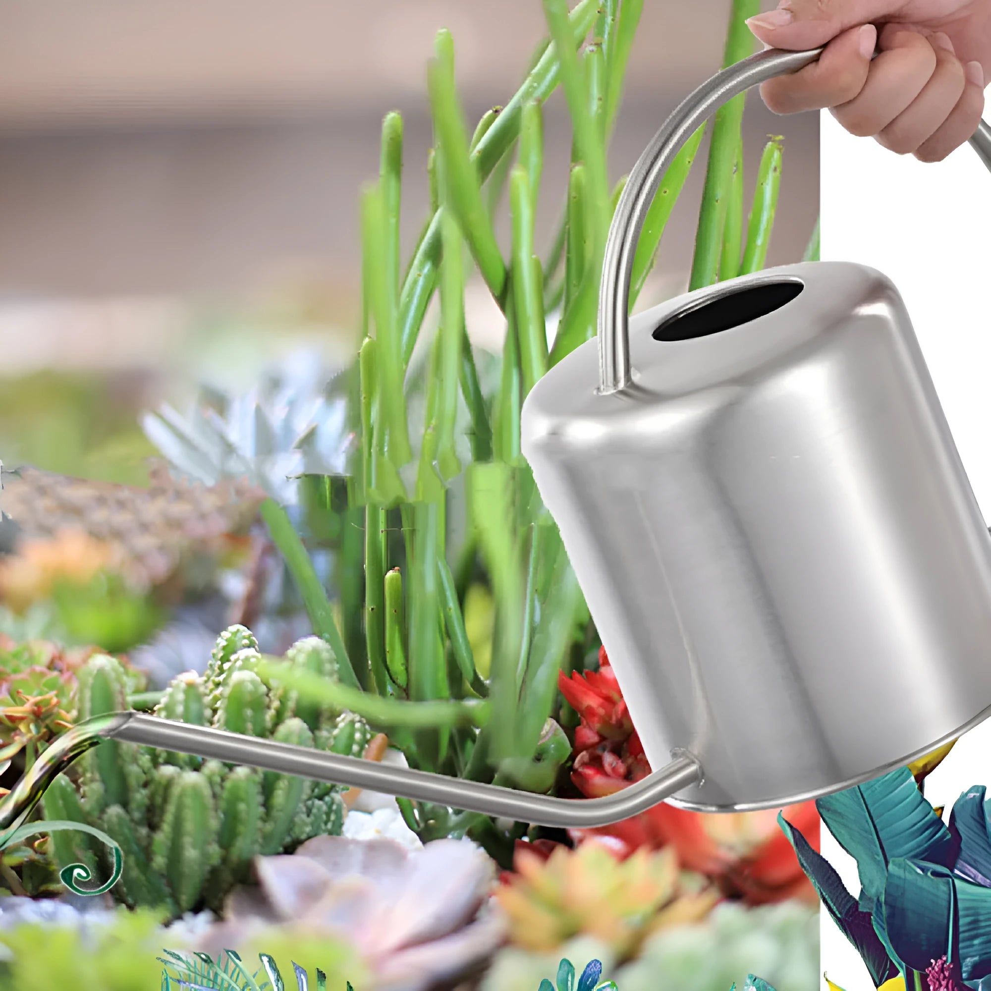 Stainless steel watering can with long spout showing black, gold, and silver colour options