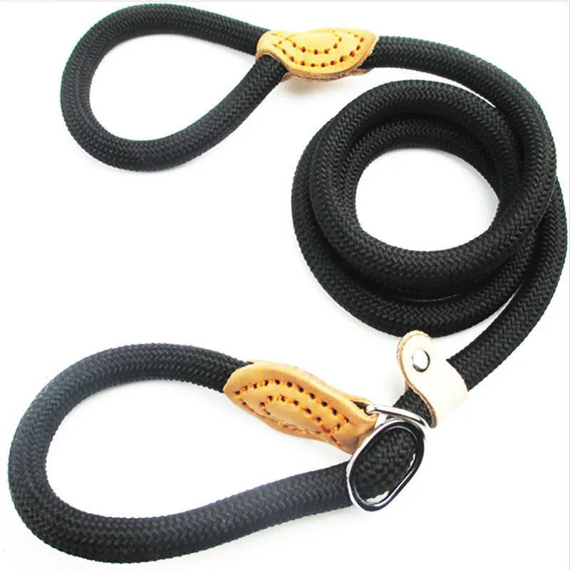 Brown nylon P chain dog leash with 2.1 metre length showing thickness variation