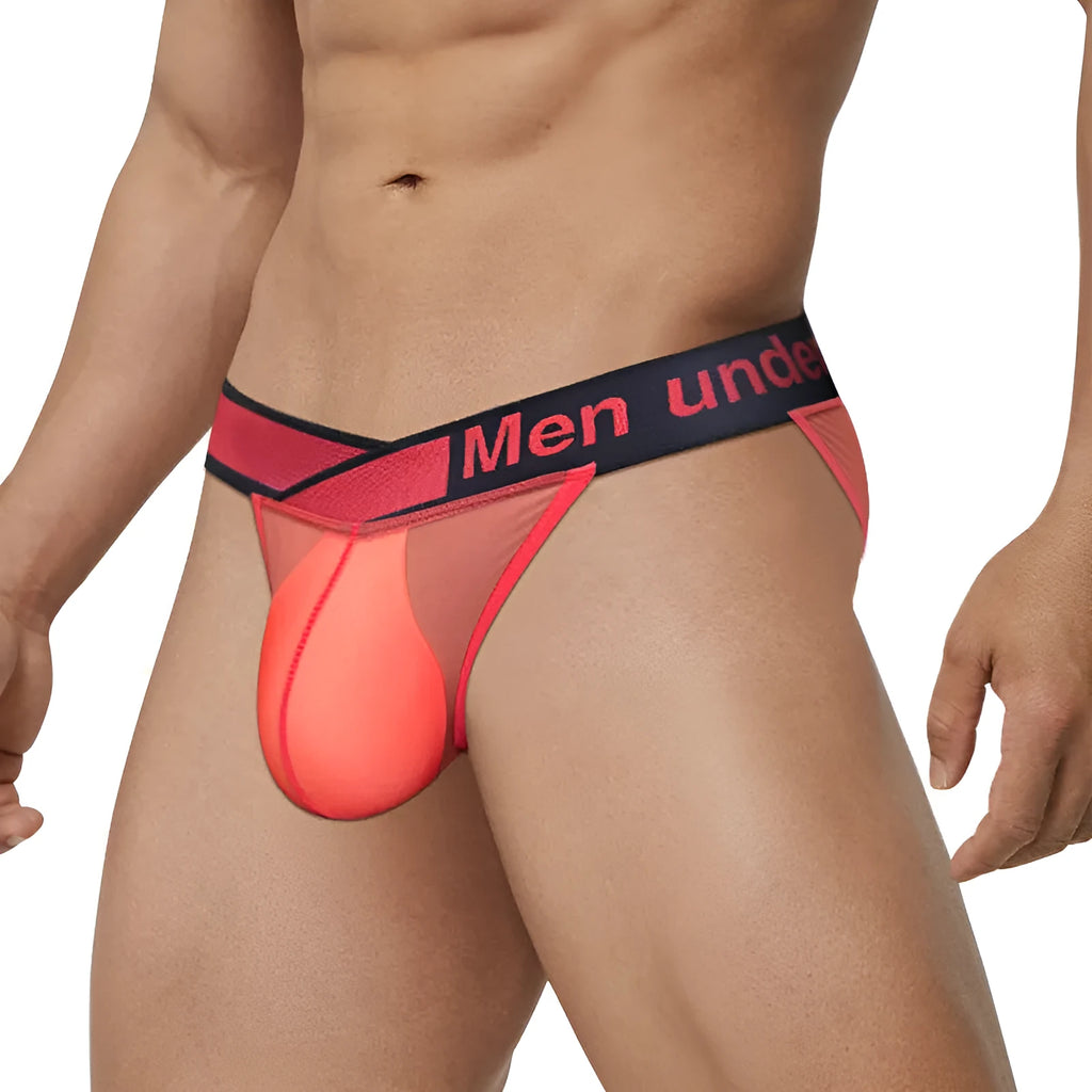Men's transparent ice silk briefs in solid colour with low waist and V gradient high fork design