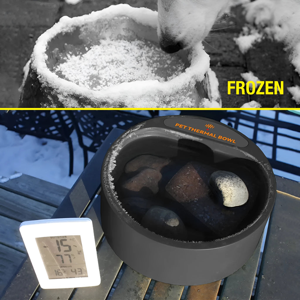 Black ABS plastic pet heating bowl with constant temperature control, 2.2L capacity