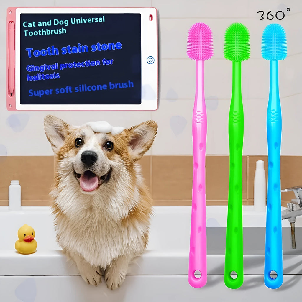 Small dog silicone toothbrush with PP handle, 17cm, in blue colour option
