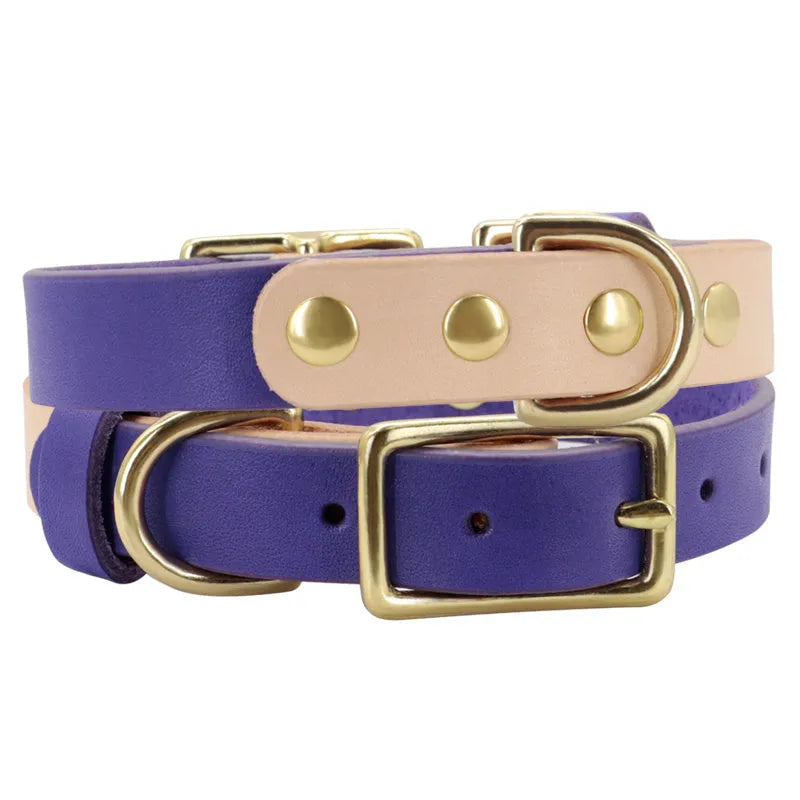 Leather cat collar in green, rose red, orange, purple or yellow with adjustable S or M size and optional lettering plate.