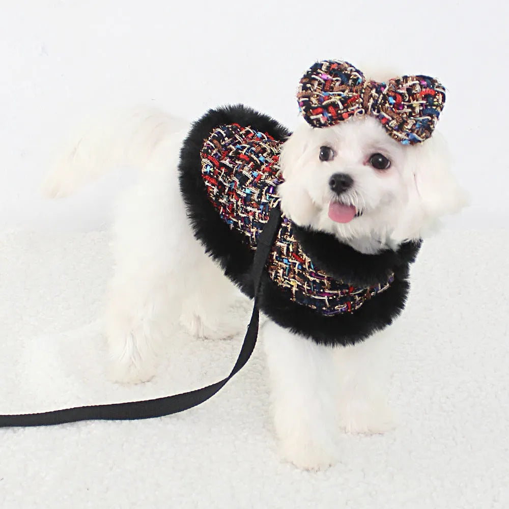 Dog wearing a classic-style cloth cloak chest strap with an attached hand holding rope, shown in beret design.