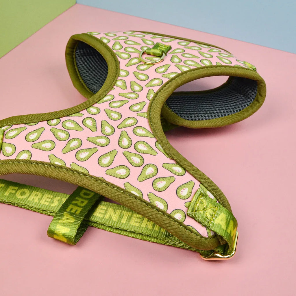 Polyester dog harness and leash set in colourful patterns for medium and large breeds