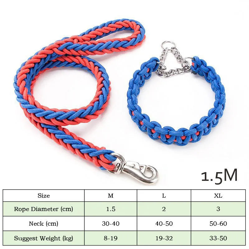 Heavy-duty nylon braided dog collar and leash set in black with rotatable hook on a dog