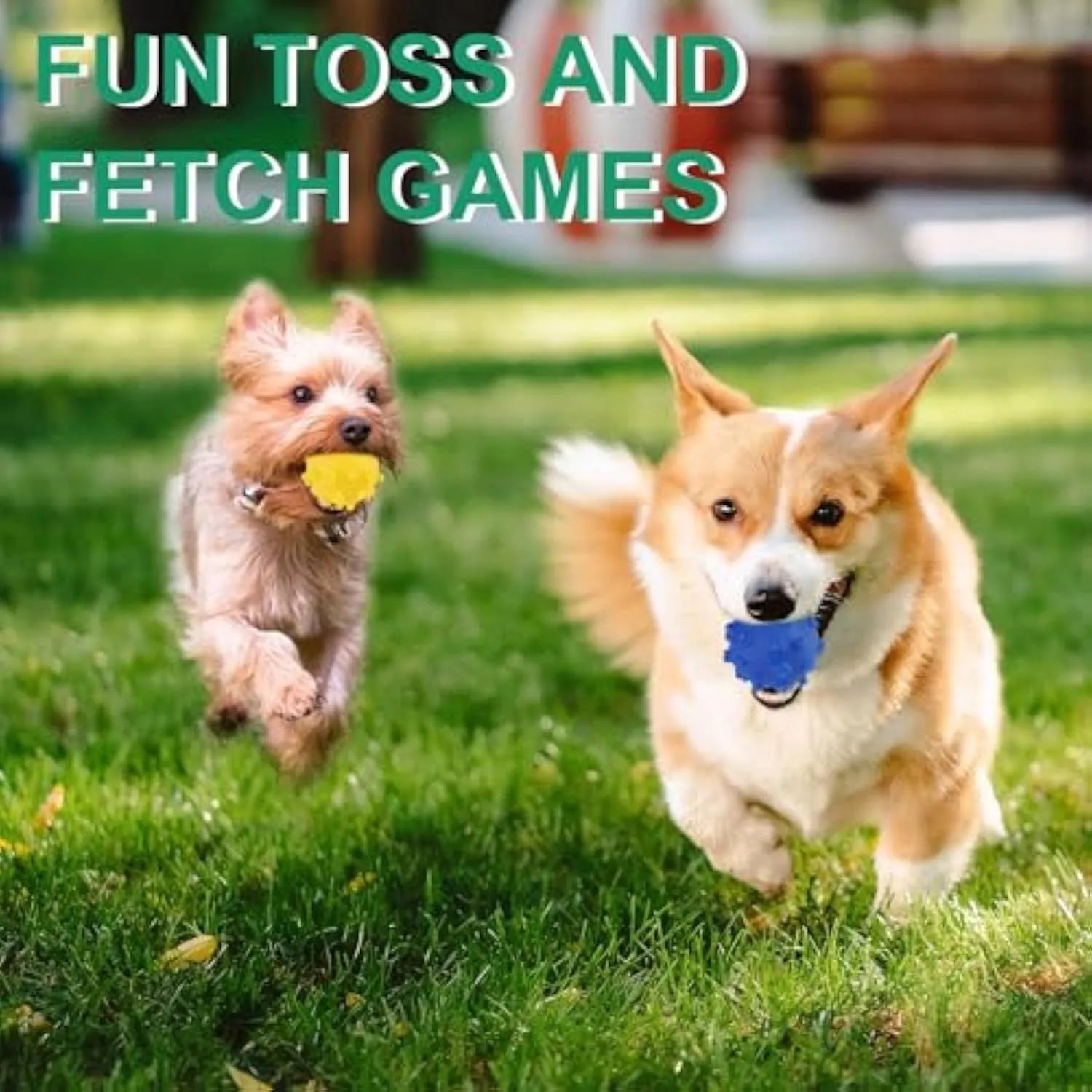 Four brightly coloured spiky dog toy balls with paw-print dimples, shown next to a small dog.