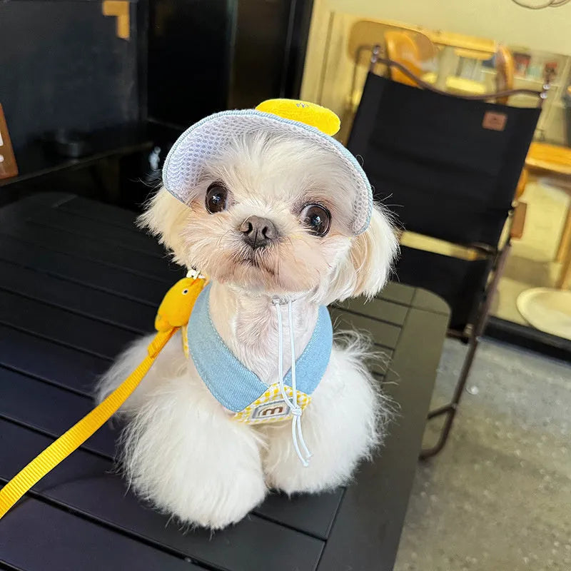 Three-piece cat harness and leash set with a wire rope pulling toy and a cute hat.