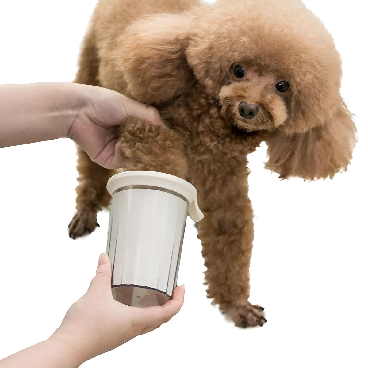 Portable pet foot washer cup in white with soft silicone bristles, 95 x 120mm, for small dog paw cleaning