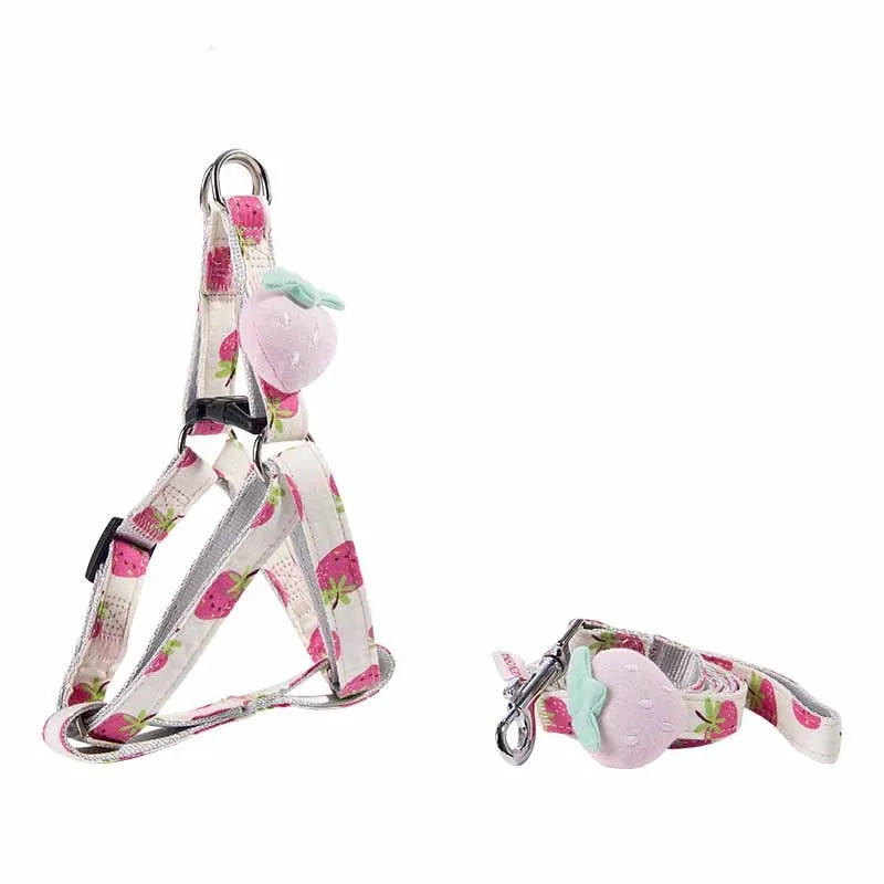Fruit print dog collar and leash set in polyester, adjustable collar 26-41cm or 30-55cm, 1.2m leash, green, pink or yellow