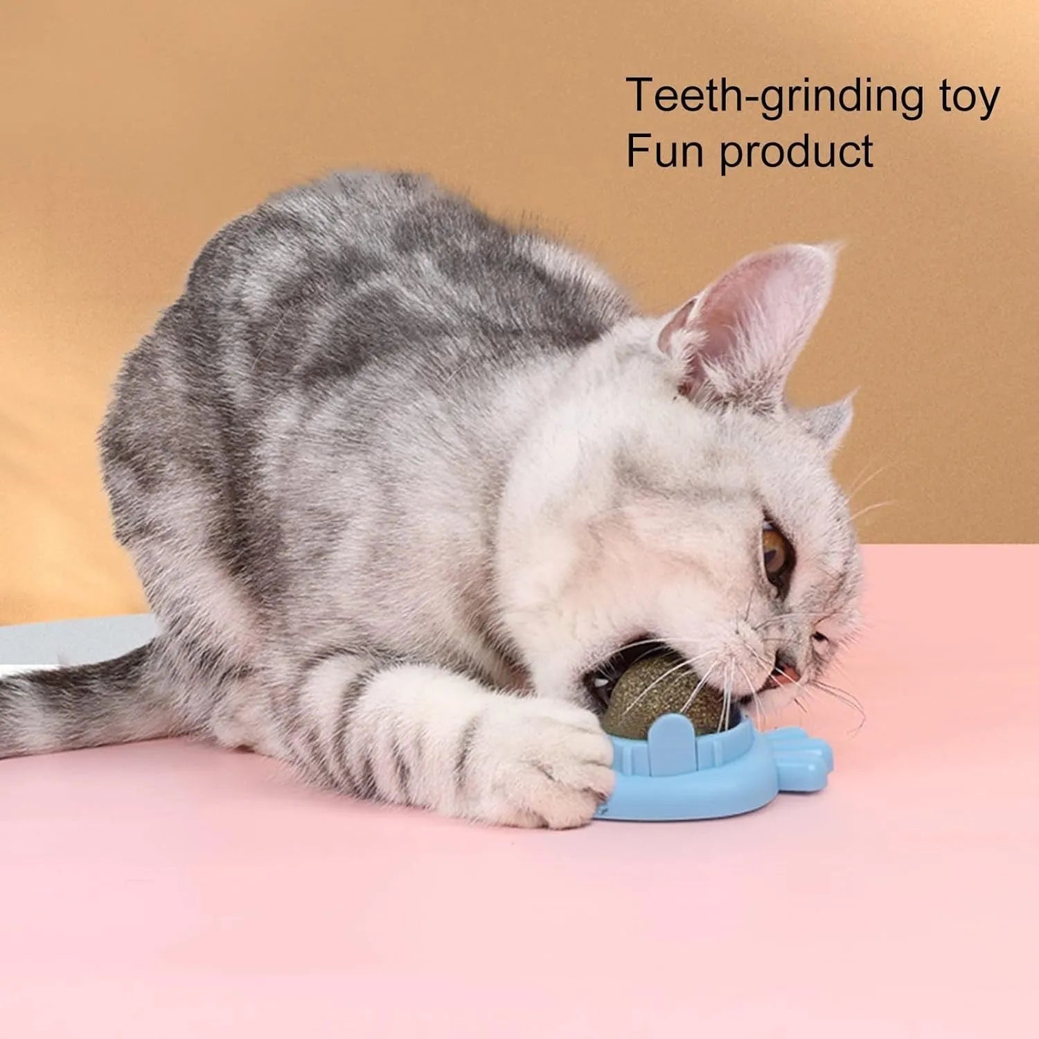 Blue self-adhesive catnip carrot toy for wall mounting and teeth cleaning