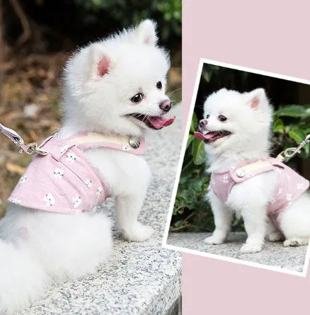 Pet dog harness and lead set in breathable polyester vest style for small to medium dogs, showing five sizes and seven colour options