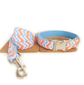 Money loop dog leash set in orange blue with polyester running rope on white background