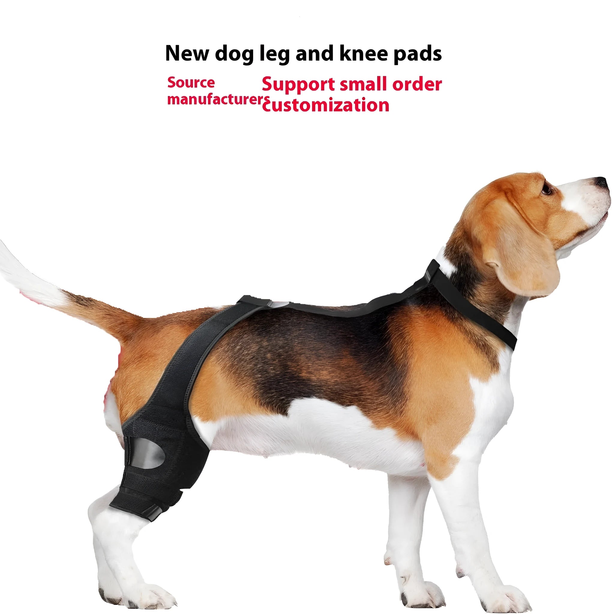 Dog hind leg knee brace assist strap in neoprene fabric showing adjustable design