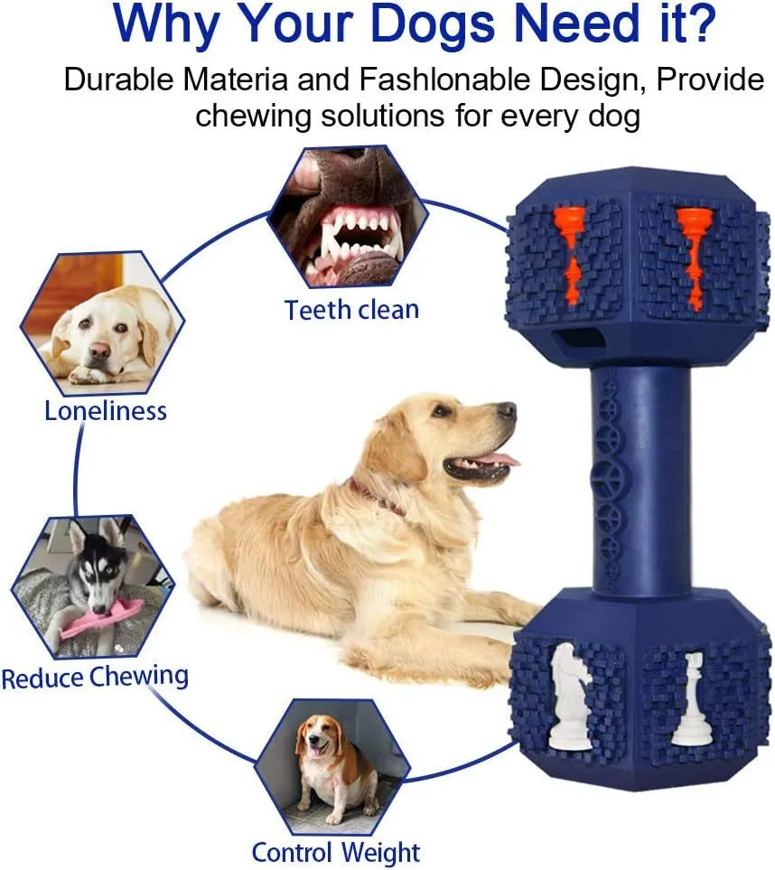 Blue durable rubber dumbbell dog chew toy with textured surface and hollow ends for treats.