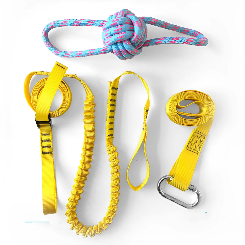 Dog training belt rope toy set with black polyester belt and yellow rope toy on a neutral background