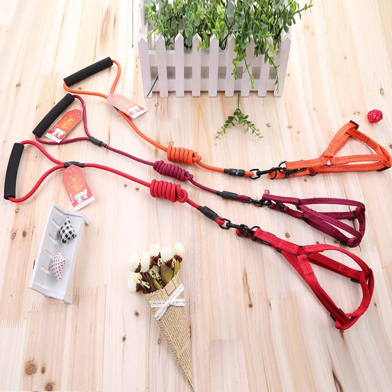 Scalable imitation nylon dog leash for small and medium dogs in multiple colours and sizes