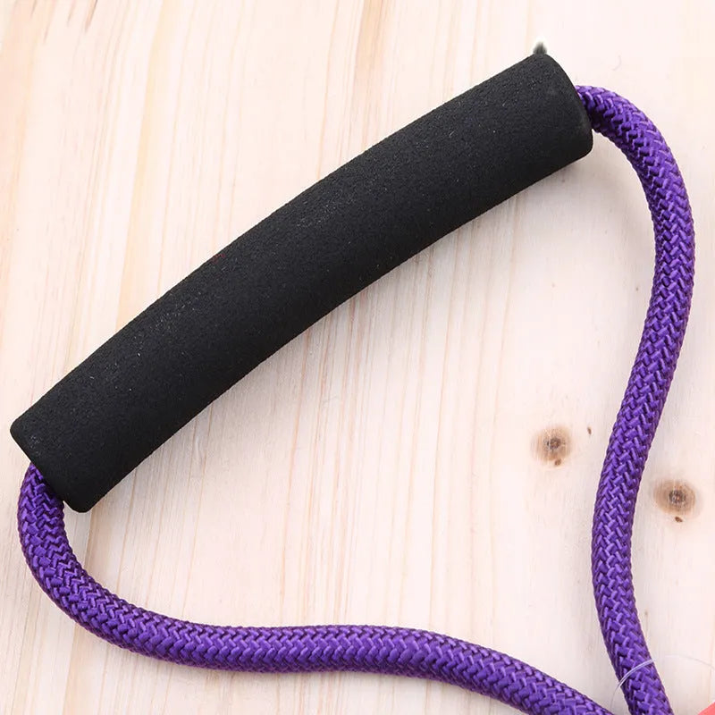 Scalable imitation nylon dog leash for small and medium dogs in multiple colours and sizes