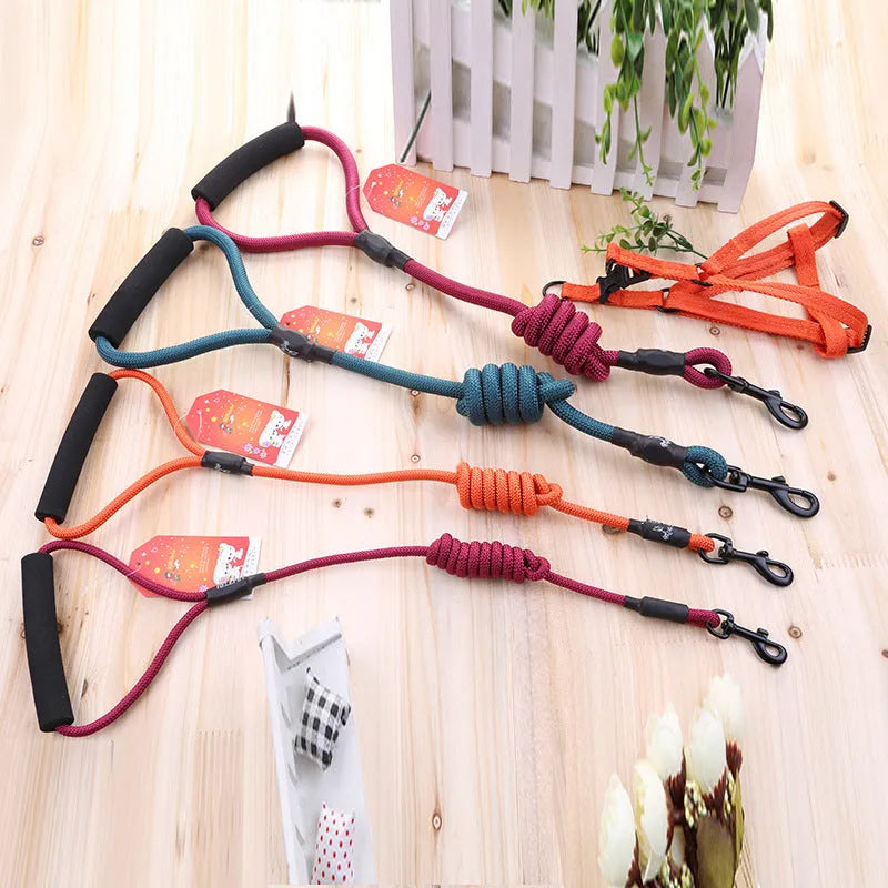 Scalable imitation nylon dog leash for small and medium dogs in multiple colours and sizes