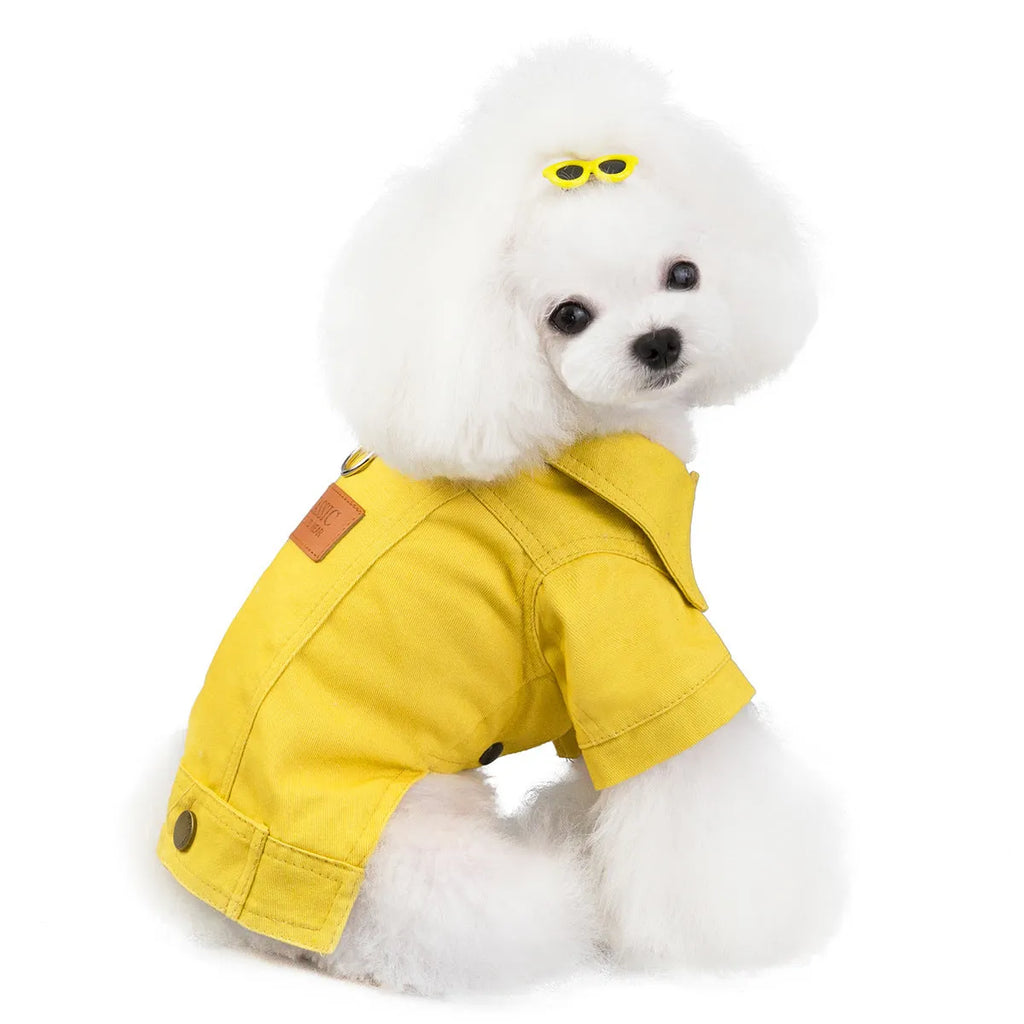 Two-leg cotton pet outfit in blue, yellow, or green, sizes S to XXL with back length, bust, and collar measurements.