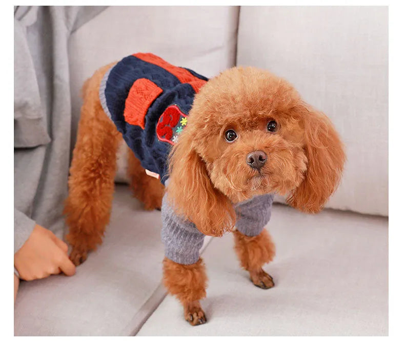 Blue cotton pullover dog sweater on a small breed dog, shown against a neutral background