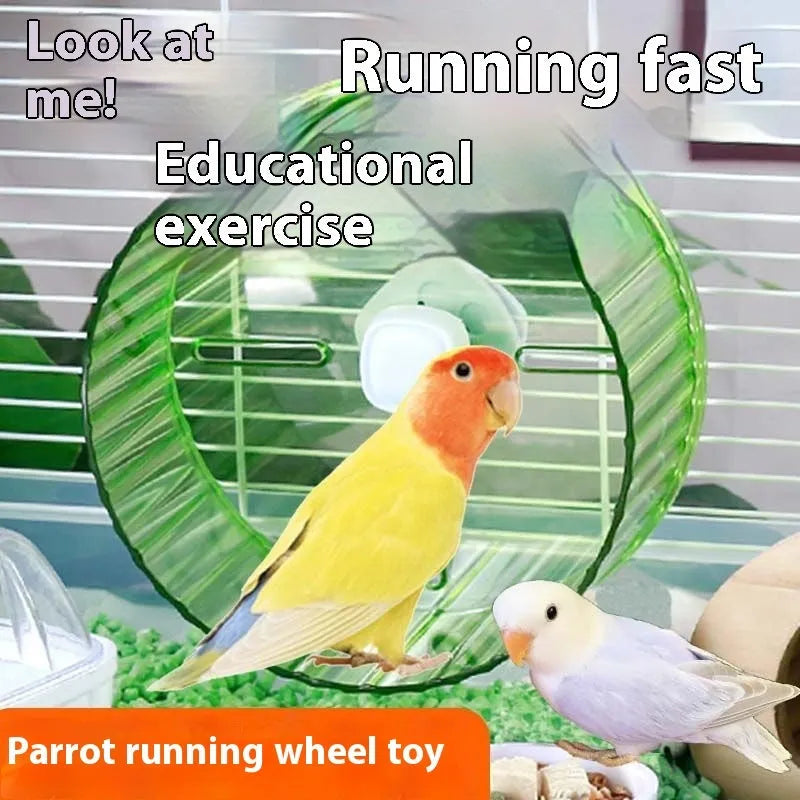 A plastic parrot running wheel toy in transparent, green, grey, orange, or purple, showing the rotating design.