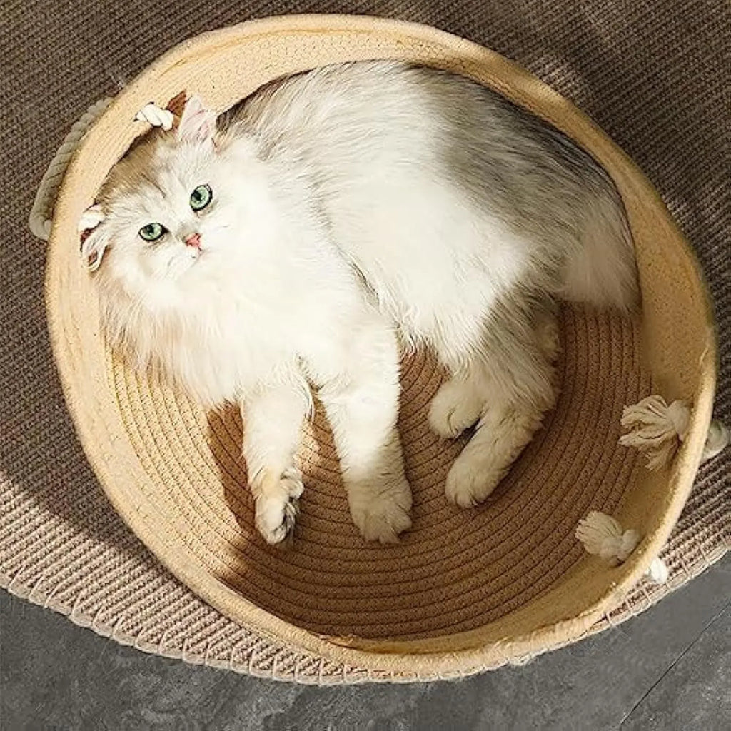 Wicker cat bed basket with a corrugated scratching board inside, shown in a home setting.