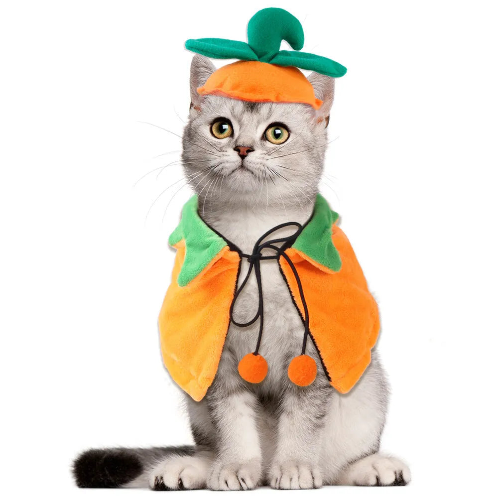 Orange plush pumpkin costume cloak for a dog or cat on a mannequin, showing double-sided design.