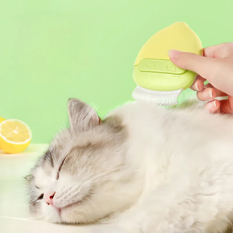 Blue double-headed mini pet comb with lid on a surface, showing two grooming surfaces for cats and small dogs