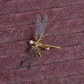 Golden dragonfly shaped side clip headdress for women with electroplated finish