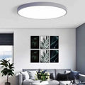 Round engineering ceiling LED lamp in white with electrodeless dimming for bedroom and living room