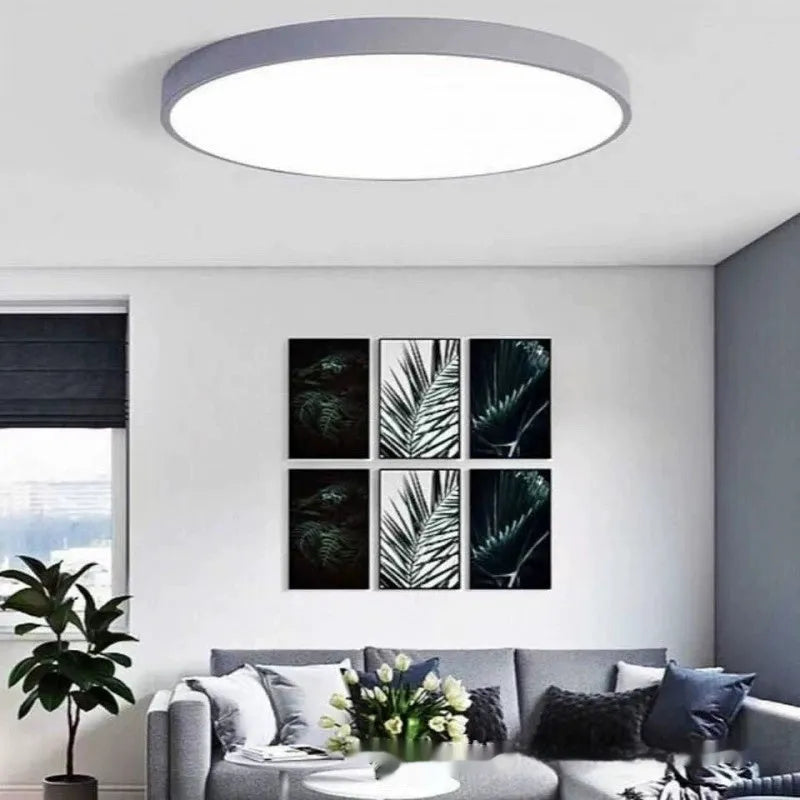 Round engineering ceiling LED lamp in white with electrodeless dimming for bedroom and living room