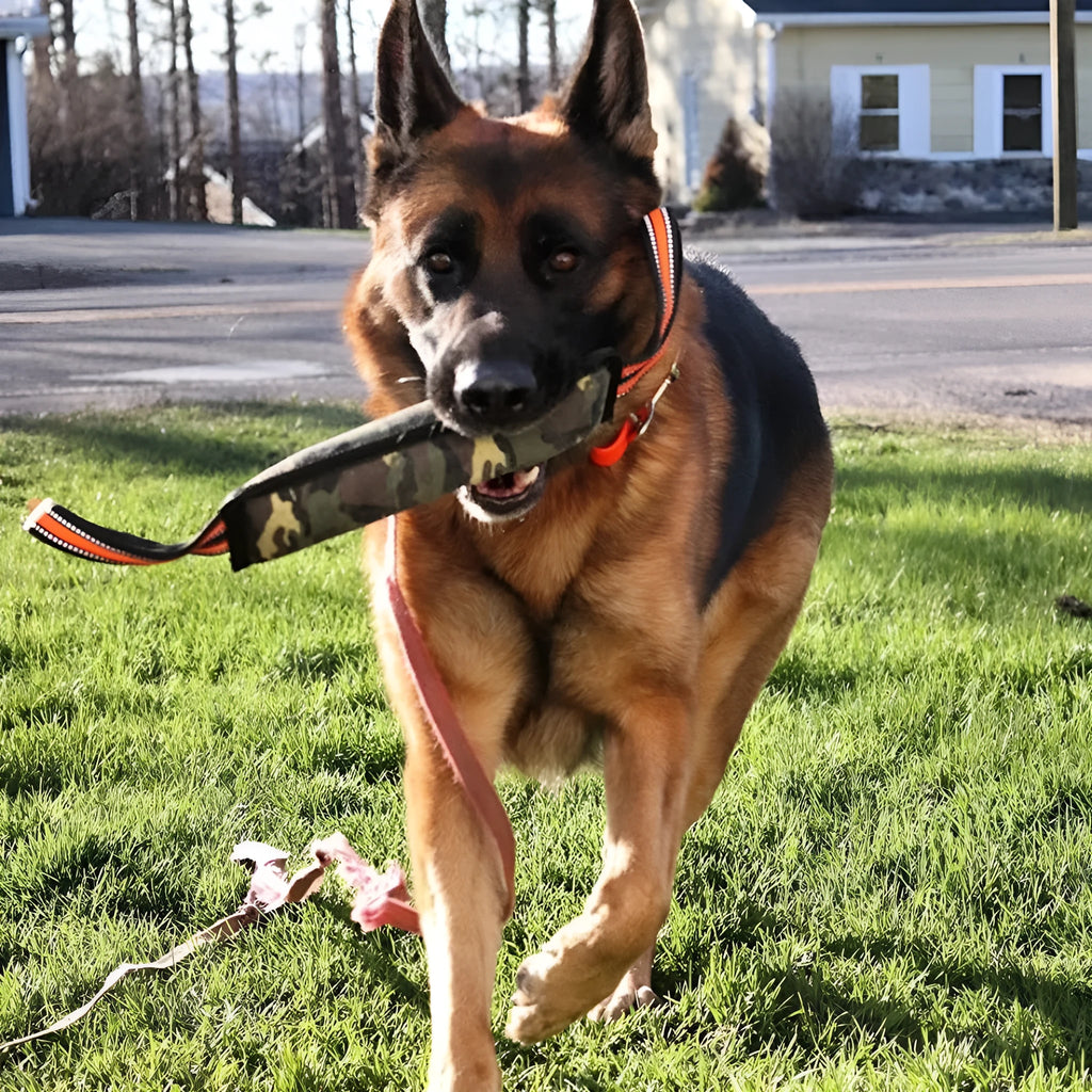 Reflective jute dog training bite stick 55cm with yellow edge on plain background