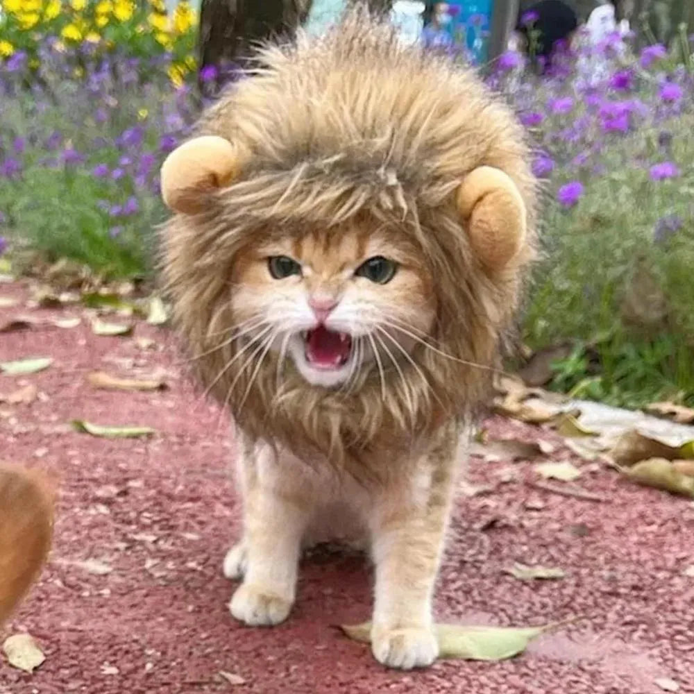 Lion mane wig for cat on pet with plush ears and fluffy artificial hair, showing adjustable elastic band.