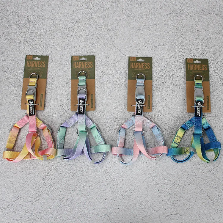 Nylon dog leash set showing gradient colour options including pink/blue, pink/yellow patterns
