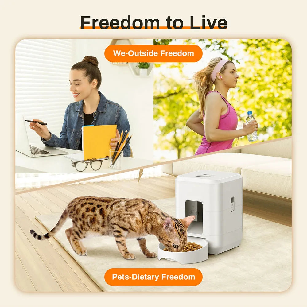 Pet Smart Feeder 2L automatic dog feeding machine with WIFI timing, round black finish, on a countertop