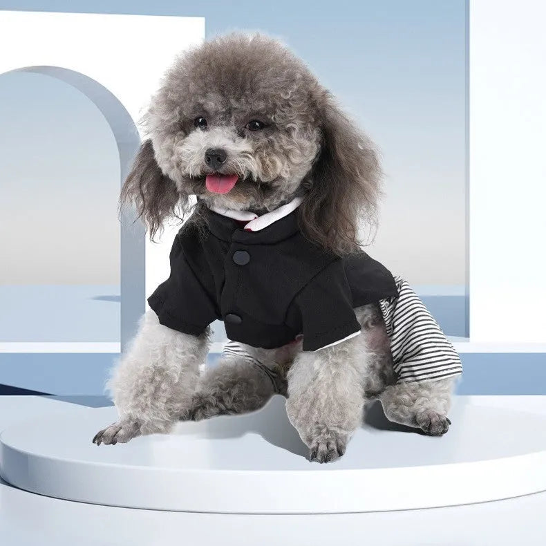 Cotton poodle dog clothes in skirt and four-foot pants styles for spring and summer
