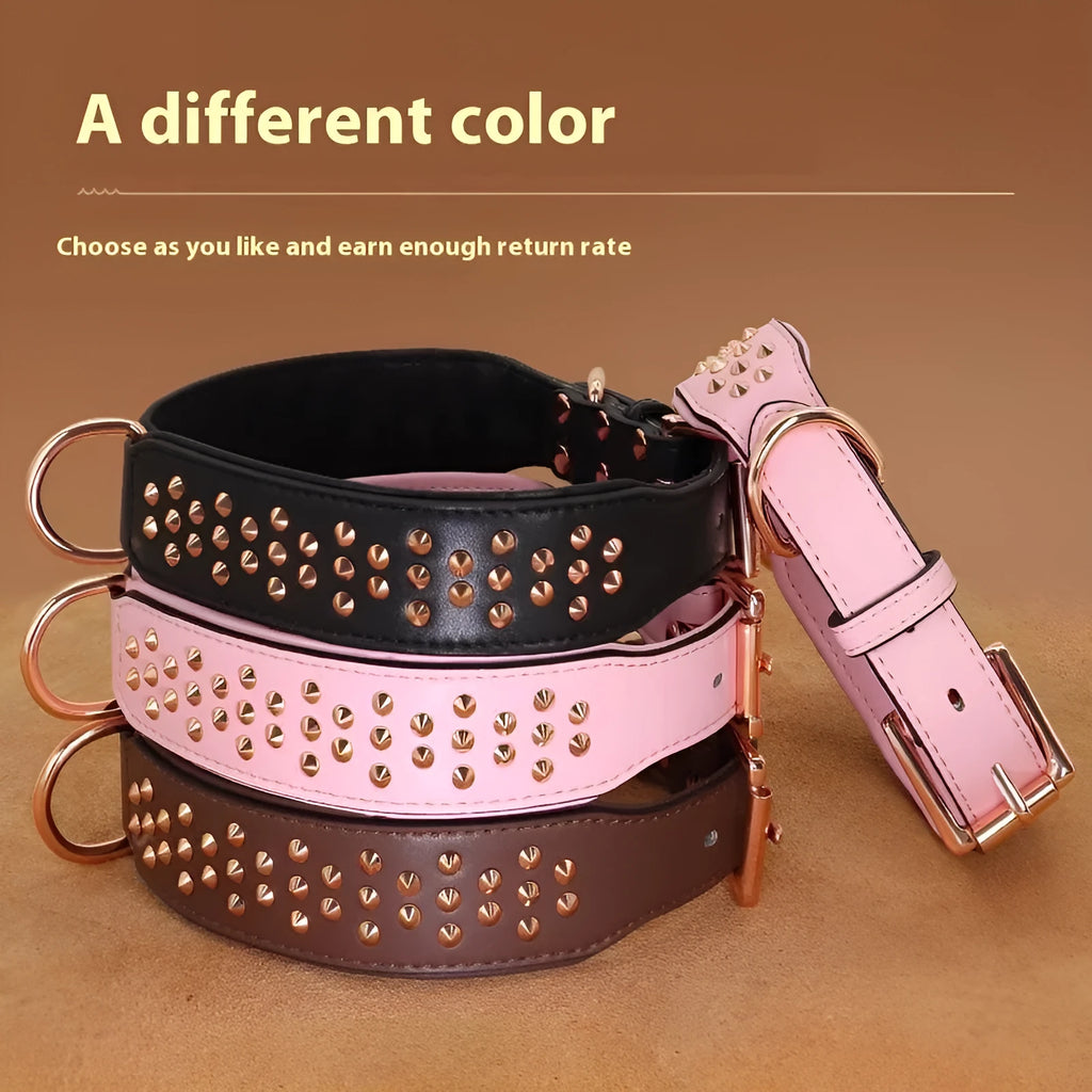 Leather dog collar with metal rivet studs in chocolate brown colour.