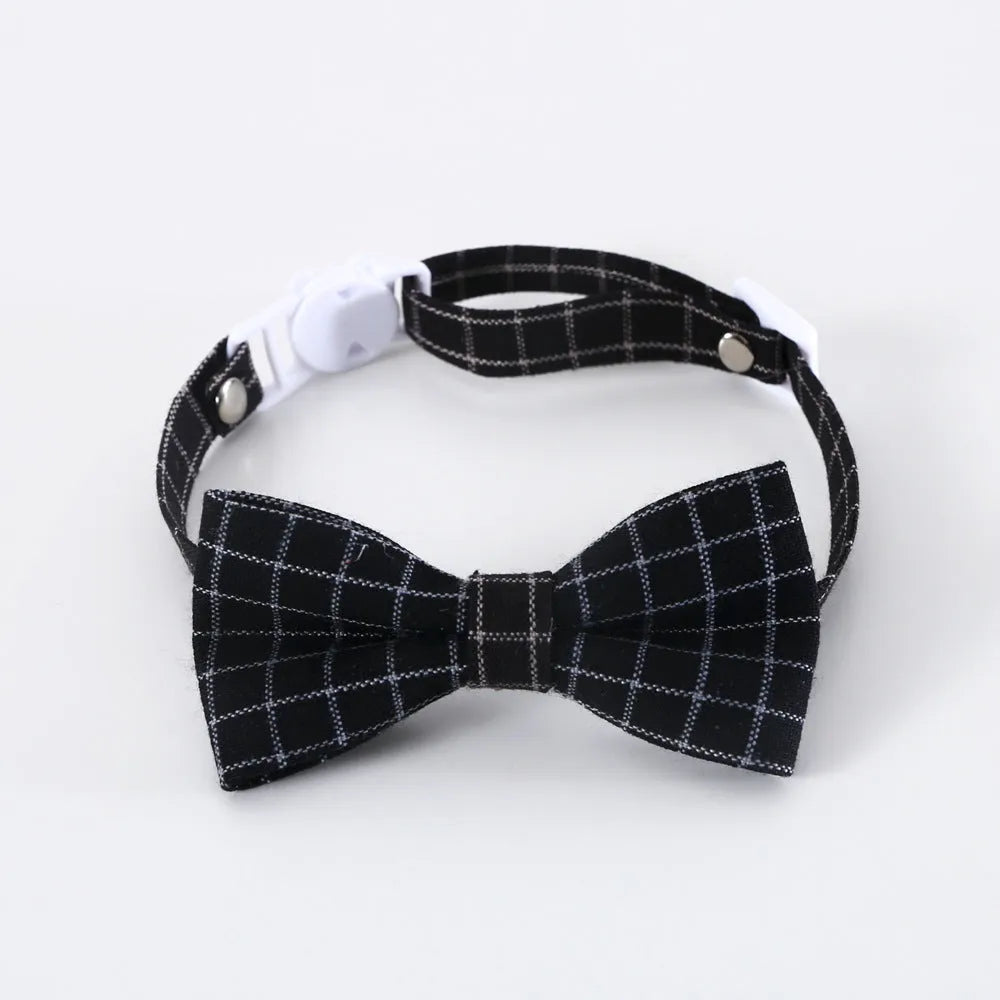 Small pet wearing a felt Doctor's Degree hair band and matching bow tie in British style.